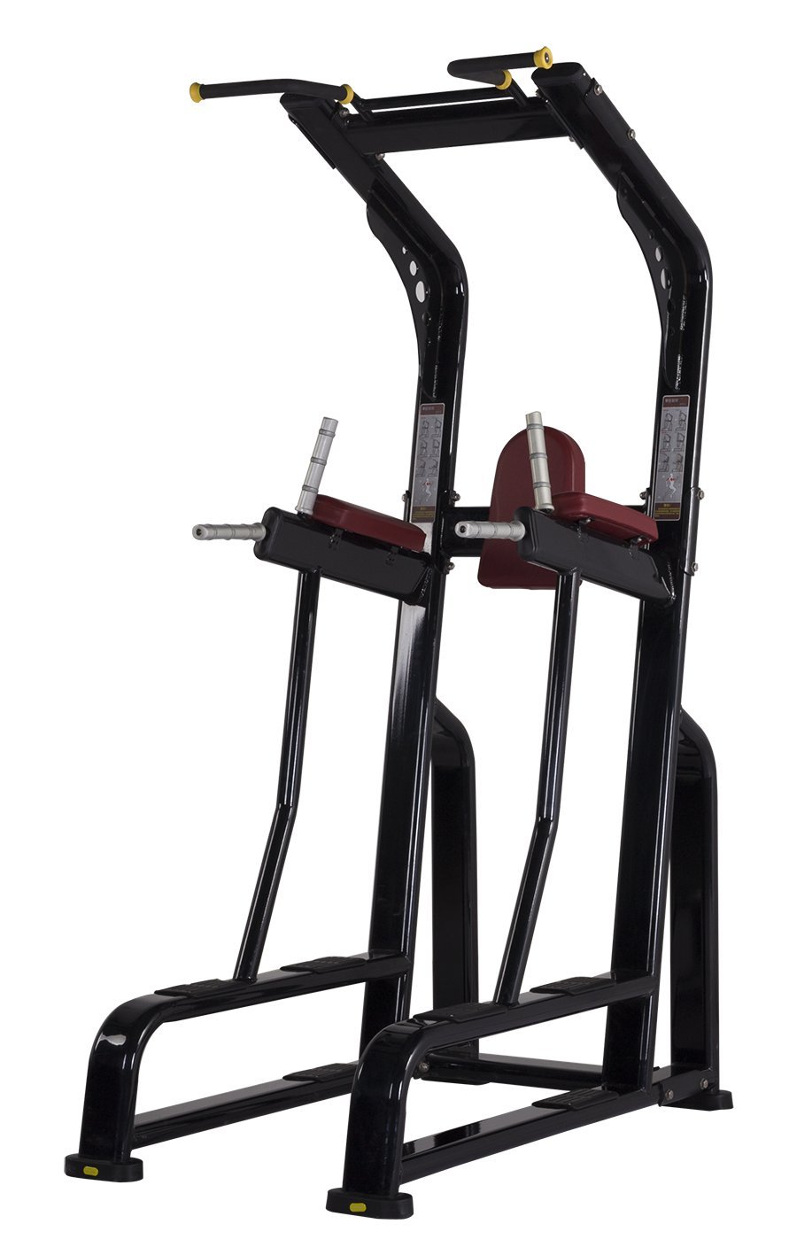 Vertical Knee Raise